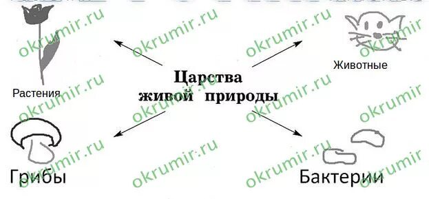 Приведи примеры живой природы 2 класс Урок 3: живая и неживая природа