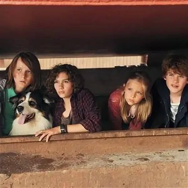 Квирин оеттл. Фотографии решений логических задач. Квирин оеттл. Пятеро друзей 2. В поезде пятеро друзей.