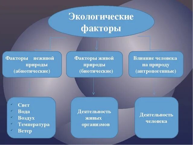 Экологические факторы среды 9 класс биология. Экологические факторы среды 5 класс биология. Биология 5 кл экологические факторы среды. Экологическая фактори. Этологические факторы.