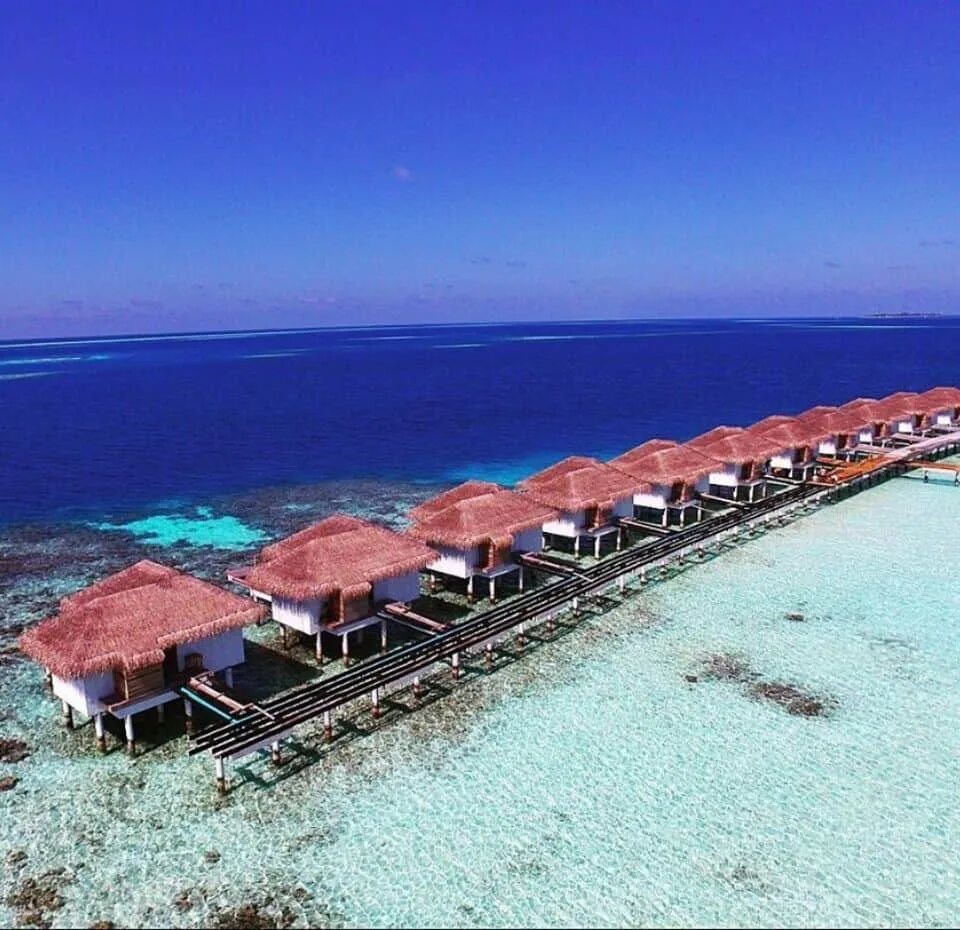 Кокогири остров мальдивы. Cocogiri island resort maldives 4. Cocogiri мальдивы. Cocogiri island resort 4*. Cocogiri island resort maldives.