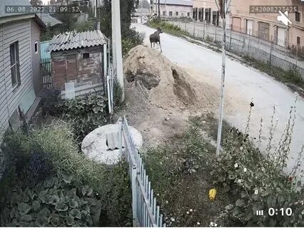 Новости подслушано искитиме