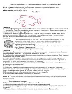 Лабораторная работа внешняя