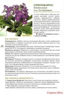 Мускусный в переводе