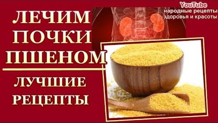 Лечение почек народными средствами. Народное лечение пшеном почек. Лечение пшеном. Рецепт лечения почек пшеном старинный рецепт. Эффективный народный лечение почек