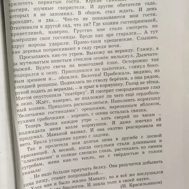 Сочинение пернатые гости. Сочинение по теме пернатые гости. Ребята ждут пернатых гостей сочинение. Сочинение про пернатых гостей. Сочинение на тему пернатые гости 3 класс.