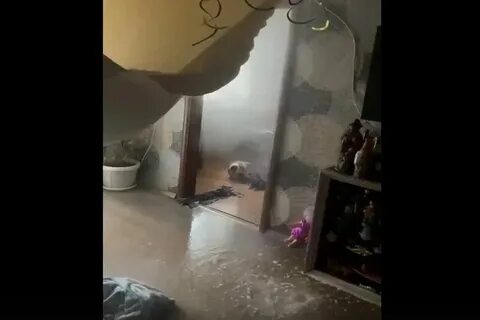 Семья нелепиных дзен последнее