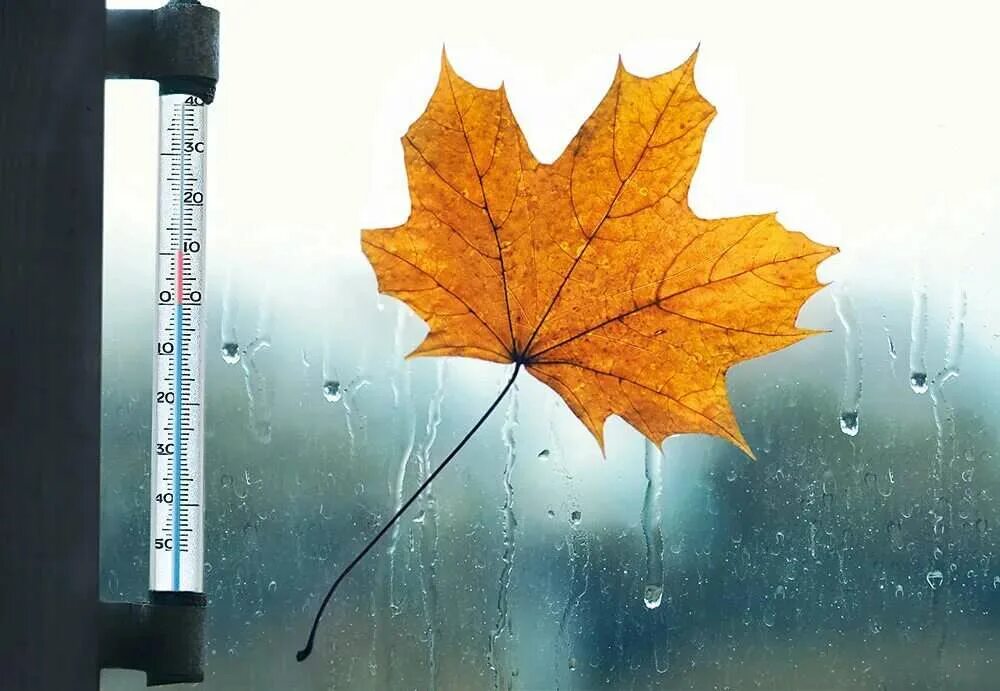 режим количество осадков в москве. метеорологическая карта. прогноз дождя москва. прогноз дождя москва. ливень.