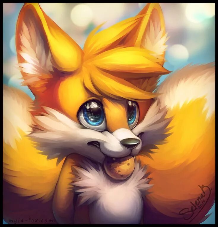 Лисёнок Тейлз. Тейлз арт лиса. Тейлз фурри. Furry Fox на аву. Fluffy fox