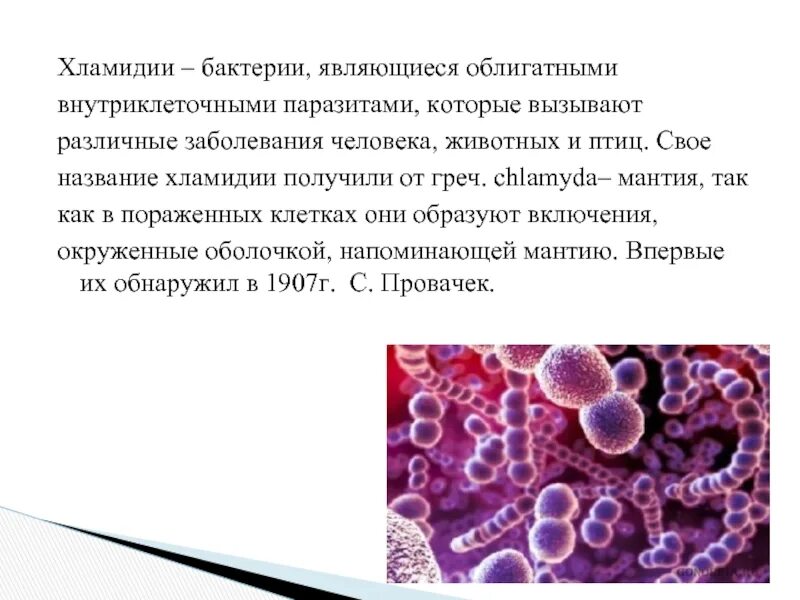 Хламидиоз возбудитель инфекции. Хламидии микроорганизмы. Хламидий микробиология. Хламидии внутриклеточные паразиты. Хламидии урогенитального хламидиоза.