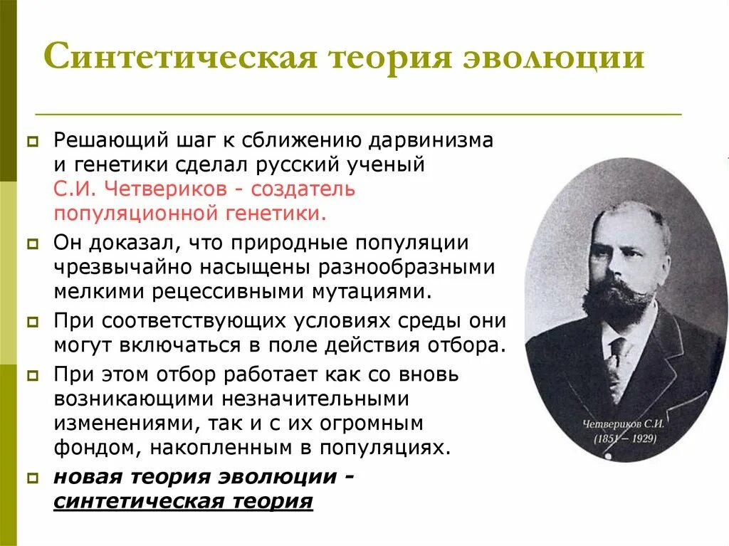 Формирование современной эволюции. Синтетическая теория эволюции шмальгаузен и.и четвериков с.с. синтетическая теория эволюции (стэ) авторы. авторы синтетической теории эволюции. синтетическая теория эволюции ученые.