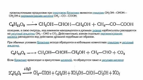 Метанол и углекислый газ