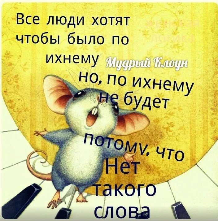 Веселые высказывания. Веселые цитаты. Фраза дня смешные. Афоризмы прикольные. Статусы юмор.