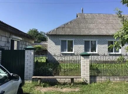 Авито сураж