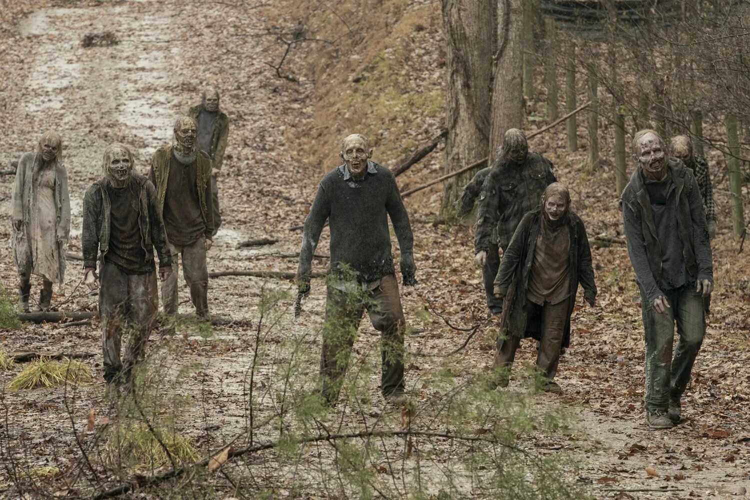 ходячие мертвецы за пределами отзывы