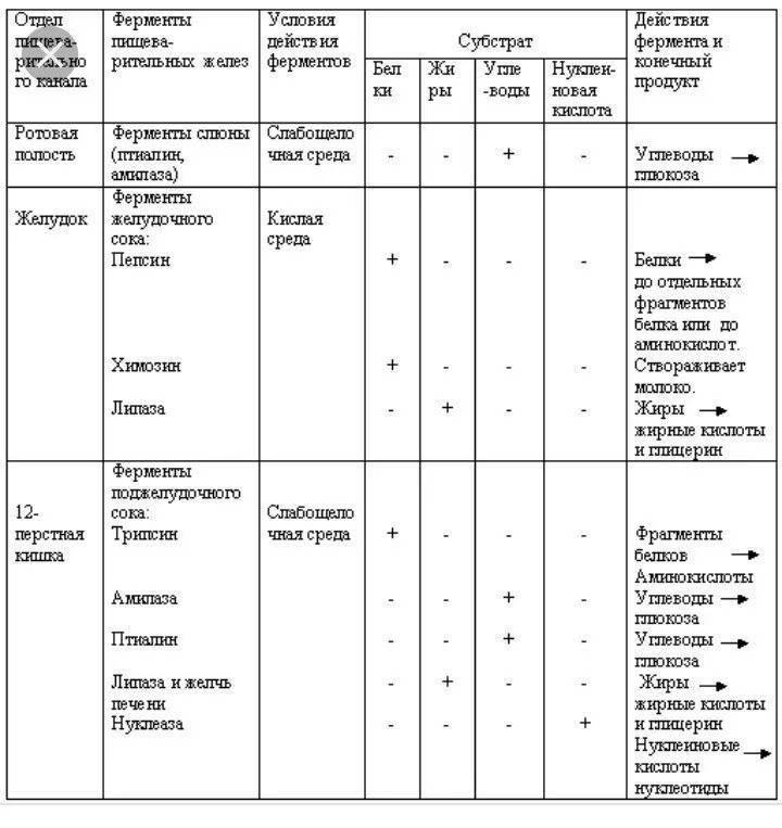 Таблица ферментов человека. Ферменты пищеварительного тракта таблица. Ферменты пищеварительных соков таблица. Ферменты таблица по биологии 8 класс. Ферменты для пищеварения таблица 8 класс.
