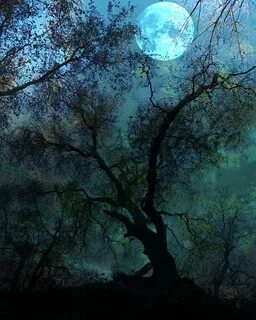 Once in a moon