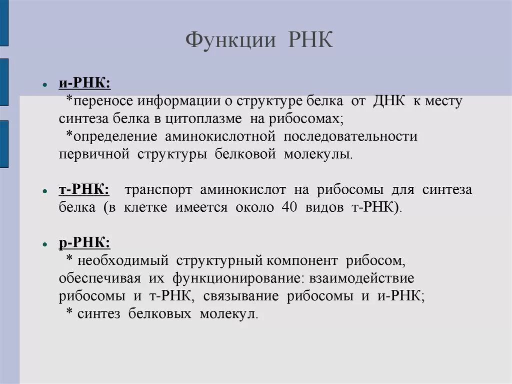 Структура и функции РНК. Функции РНК кратко. РНК типы и функции. РНК строение и функции.