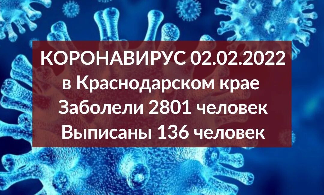 Горячая вода от коронавируса. Коронавирус в краснодарском крае на сегодня