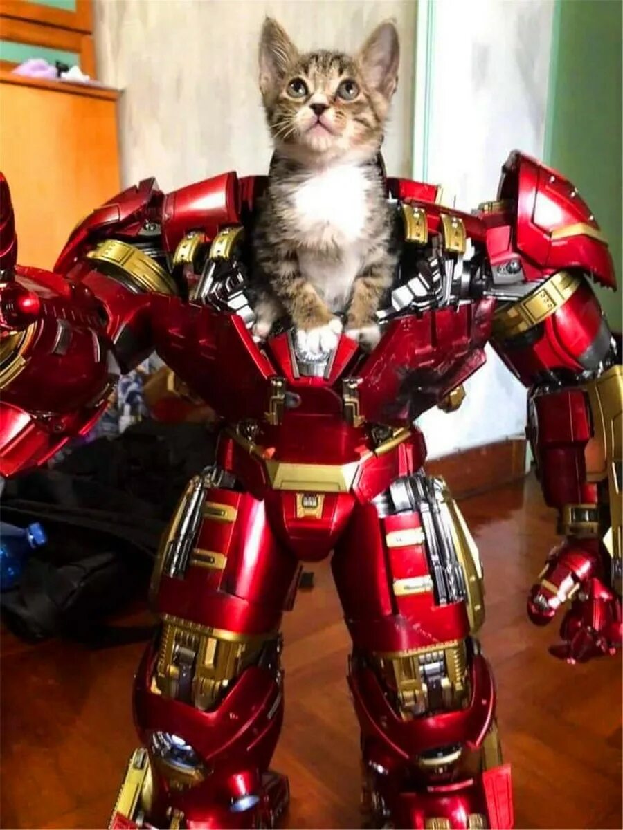 Включи железный кот. Кот Железный человек. Кот в костюме железного человека. Кот трансформер. Трансформеры коты.