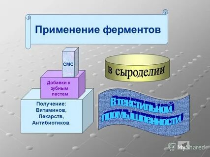 Ферменты урок 10 класс биология
