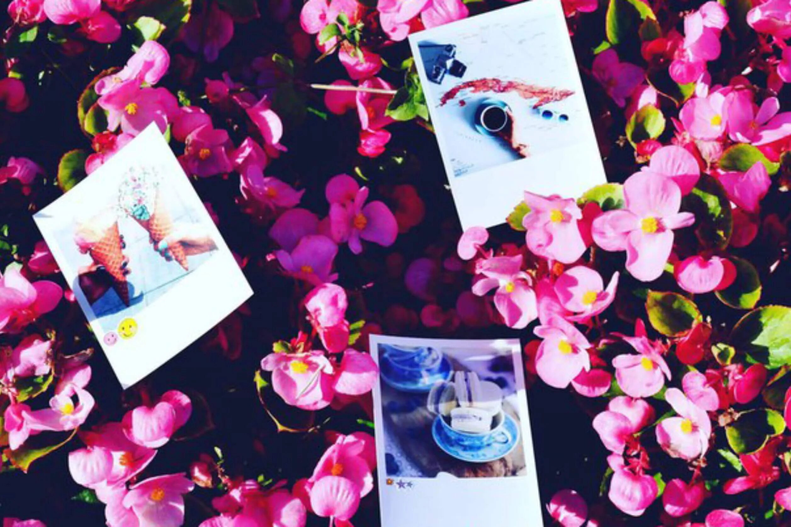 моментальное фото с телефона. принтер xiaomi карманный. гаджеты фотографа. кодак принтер док. моментальное фото с телефона.