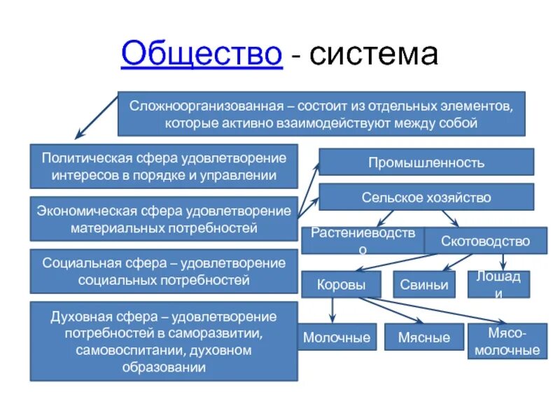 Состоит из четырех основных