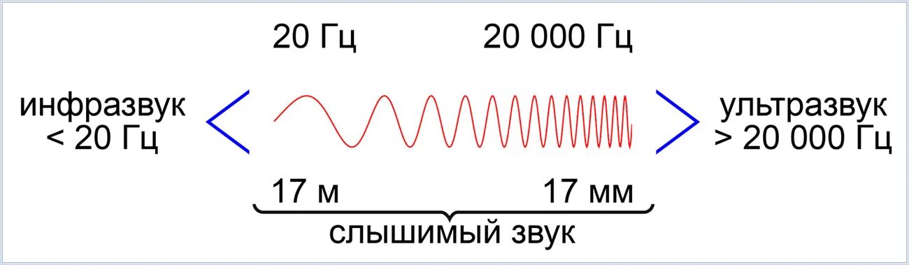 Ультразвук имеет частоту колебаний. График ультразвука и инфразвука. ультразвук и инфразвук. звуковые волны инфразвук ультразвук. инфразвук и ультразвук схема.