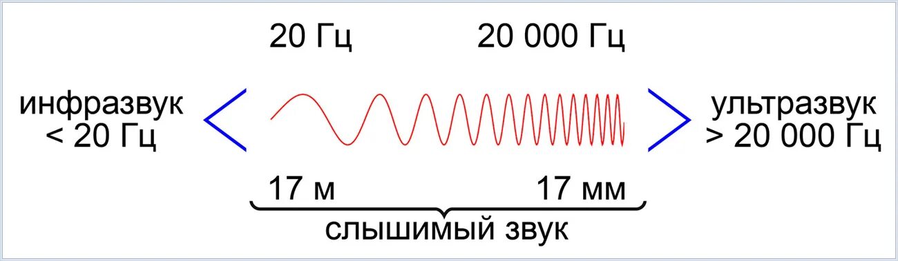 Звук частотой 1000 гц. График инфразвук и ультразвук. Звук инфразвук ультразвук. Звуковые волны инфразвук. Ультразвук инфазв.