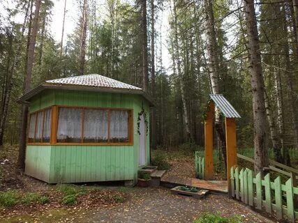 Редикор