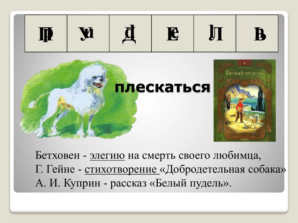 Пудель у куприна 4. Презентация Куприн белый пудель. Белый пудель. Рассказы. А. И. Куприн "белый пудель". Белый пудель презентация 6 класс.