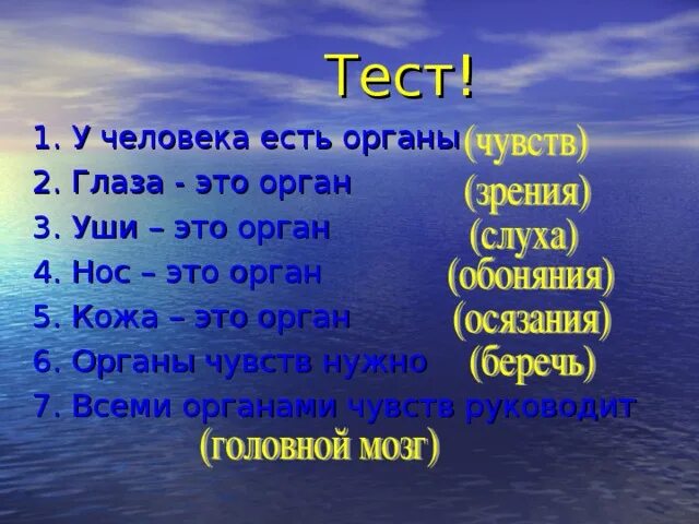 Сколько органов чувств у человека. Сколько у человек органоа чувст. Сколькочуств у человека. 6 Органов чувств человека. 6 и 7 чувства человека