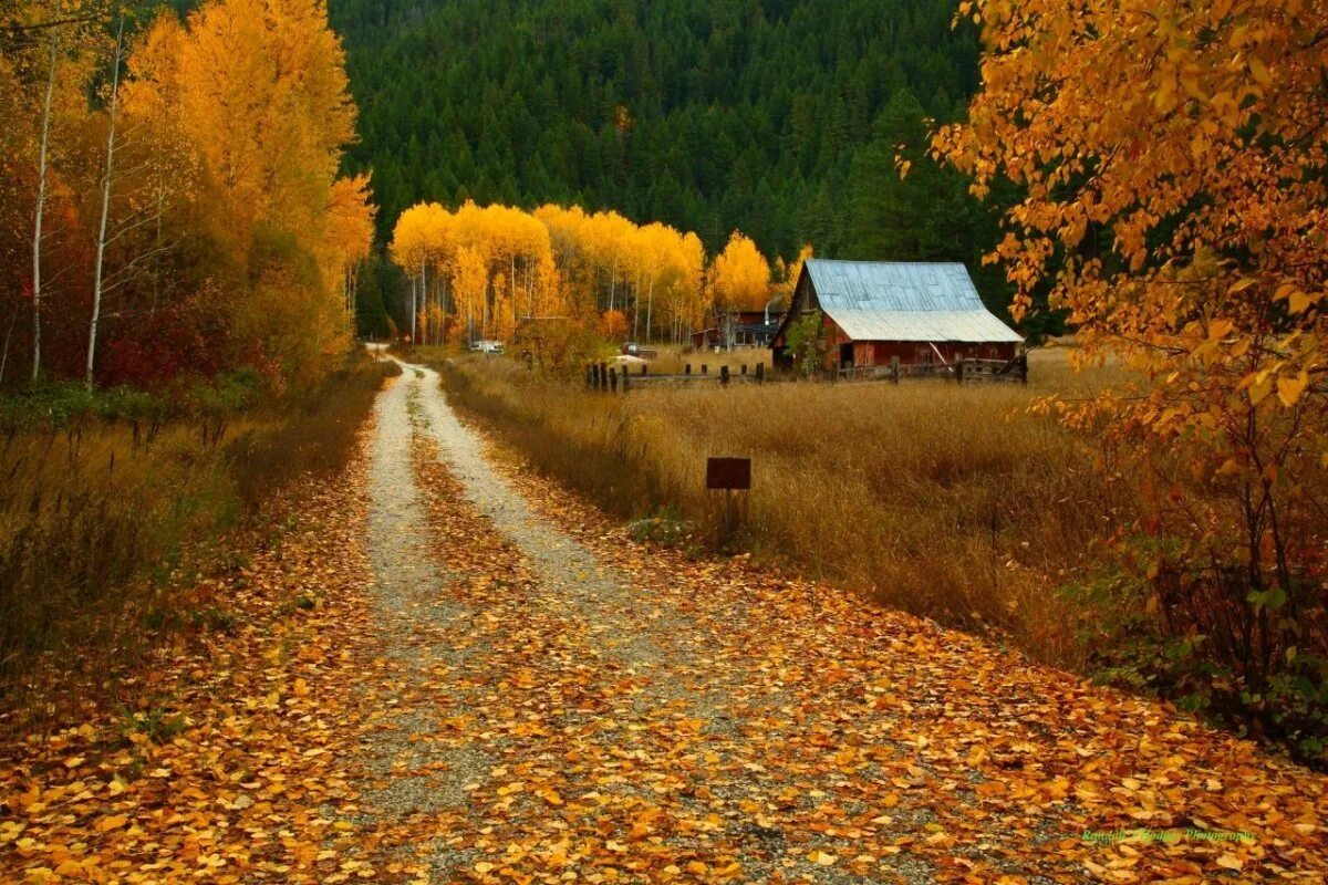 Осень фото красивые. Осенние картинки. Ожидание природа осень. Осень красота природы дорога. Душевные осенние фото.