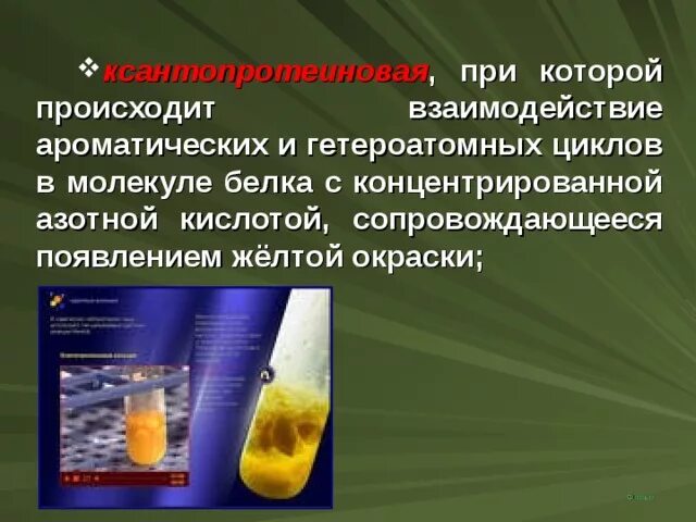 Белки с азотной кислотой. При действии азотной кислоты на белок появляется желтое окрашивание. Ксантопротеиновая реакция на белки. Белок концентрированная азотная кислота. При взаимодействии концентрированной азотной кислоты на белок.