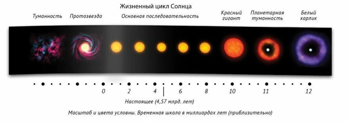 Жизненный цикл звезды спектрального класса. Этапы жизненного цикла солнца. Схема для этапов жизненного цикла солнца.. Стадии развития звезды типа солнца.