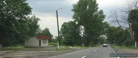 Погода веселое курская обл