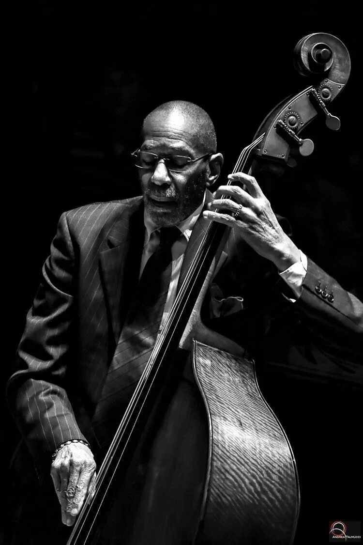 Andrea Palmucci Jazz. Рон Картер джаз. Контрабасист джаз. Ron Carter Andrea Palmucci.