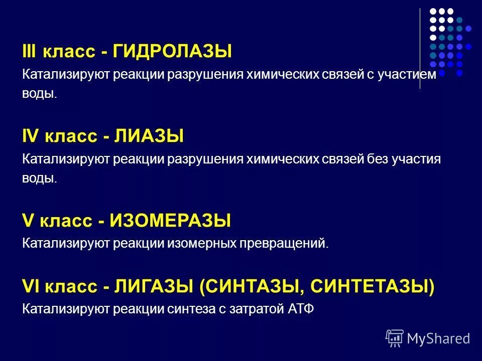 белки выполняющие функции биологических катализаторов