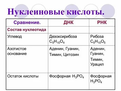 Общий химический состав это