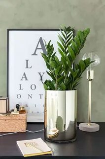 Plants 2019
