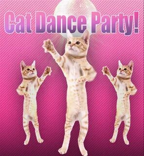 Dancing cats игра