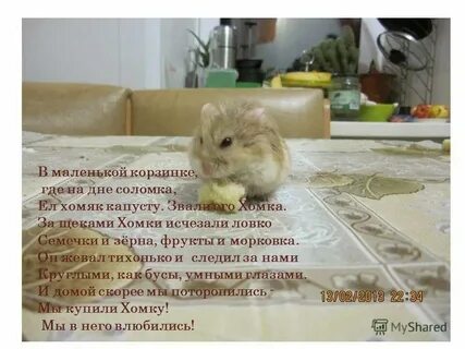 Как пригласить друзей в хомяке без друзей