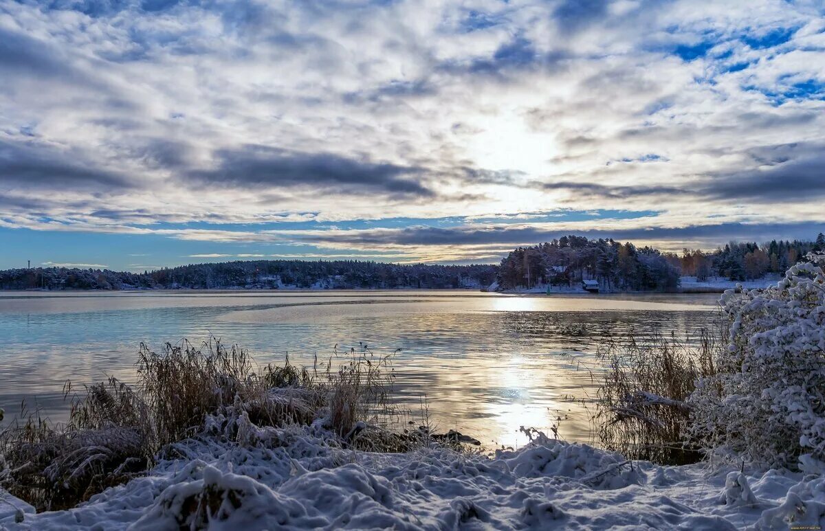 Берег озера зимой. Ладожское озеро. Финляндия пейзажи. Зима озеро.