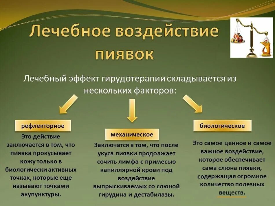 Несколько факторов основные из. Пиявки механизм действия. Механизмы лечебного действия гирудотерапии. Гирудотерапия механизм действия. Лечебный эффект гирудотерапии.