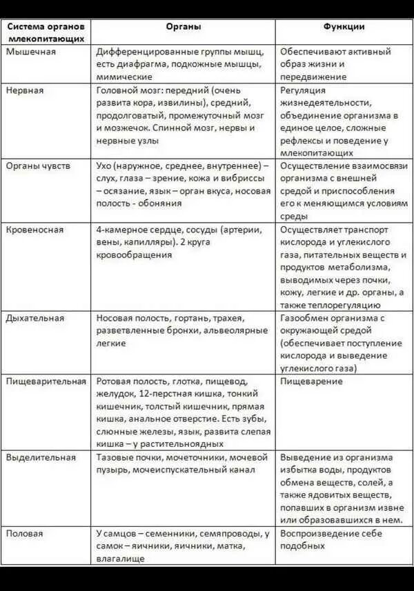 Система органов млекопитающих 8 класс