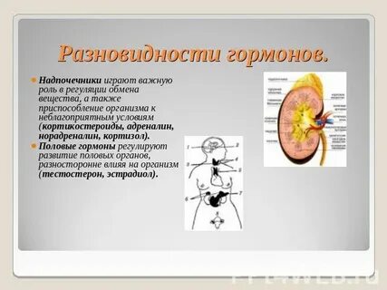 Важную роль в повышении