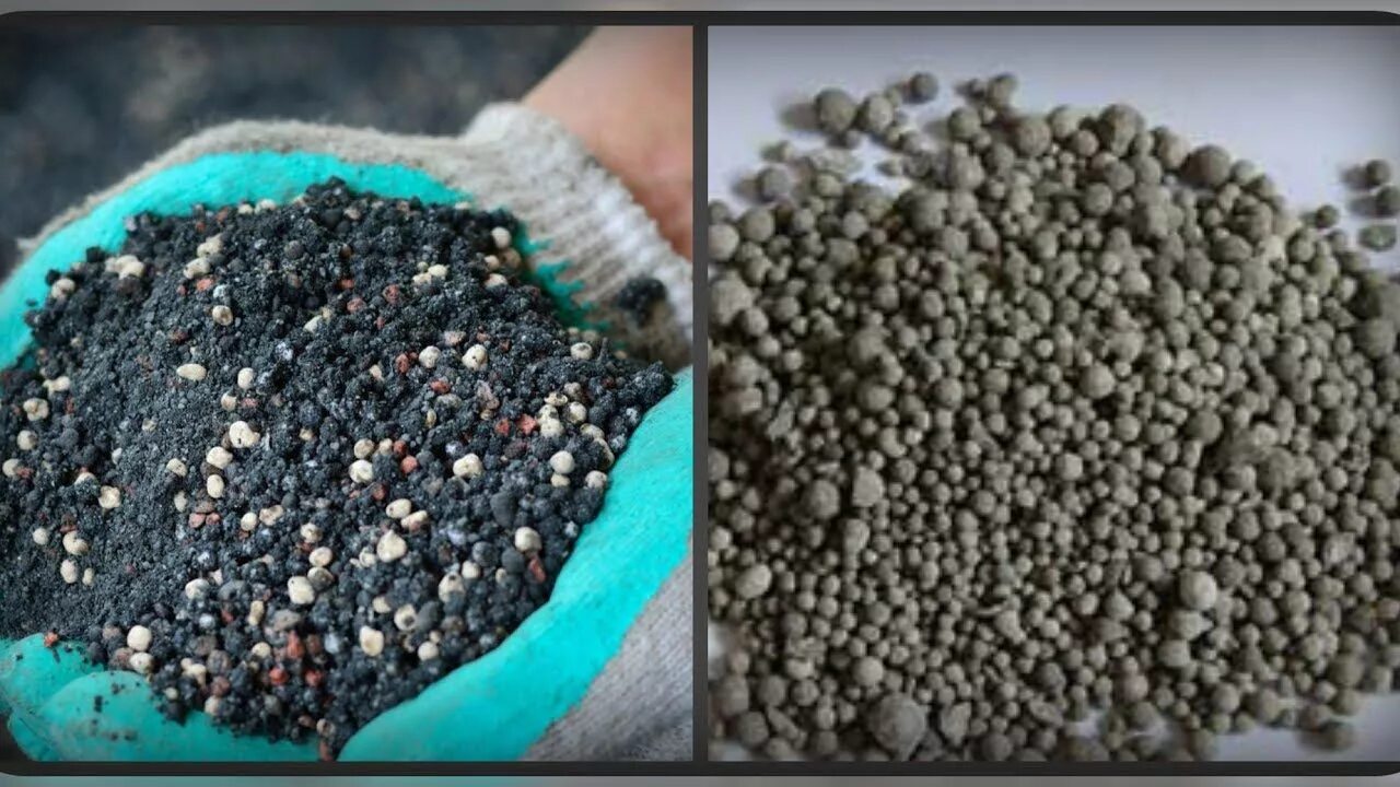 калийно фосфорные удобрения. фосфорно-калийные удобрения названия. моно удобрение буйские. калийно фосфорные удобрения. удобрение осеннее (фосфорно-калийное) 1кг.