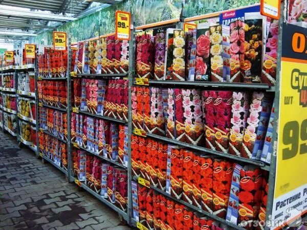 оби (магазин). оби спб семена. оби отдел сад.