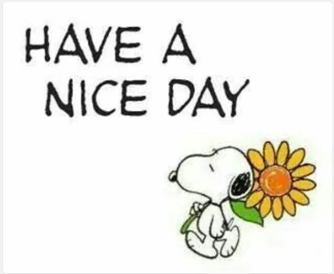 Have a day thank you. Have a nice day картинки. картина have a nice day. have a nice day, everyone. постер have a nice day.