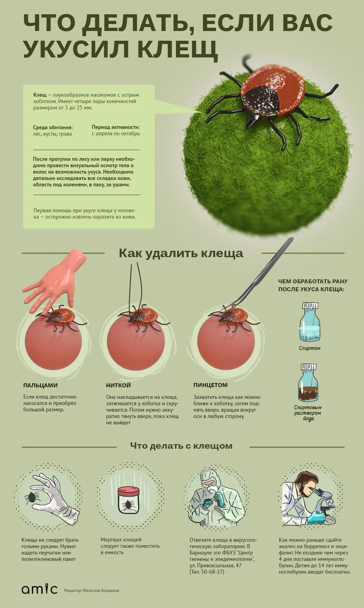 Клещи лекарство после укуса. Лекарство от укуса клеща. Укус клеща первая помощь. Профилактика после укуса клеща. Меры профилактики от укуса клеща.