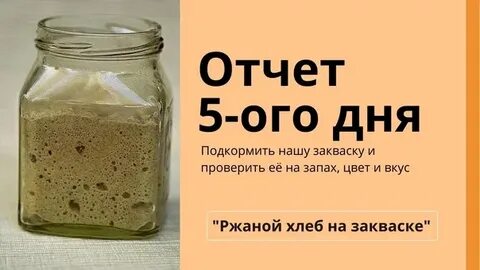 Дни закваски капусты в ноябре 2023
